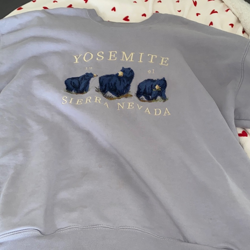 brandy oversized crewneck